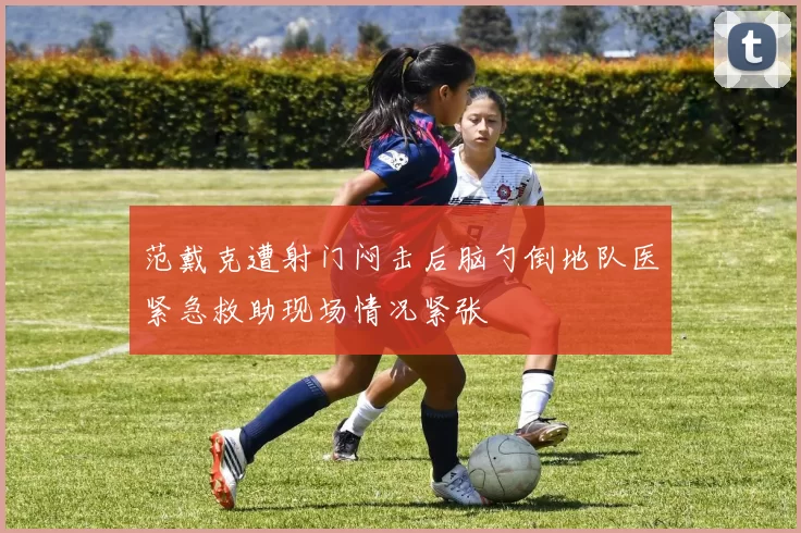 范戴克遭射门闷击后脑勺倒地队医紧急救助现场情况紧张